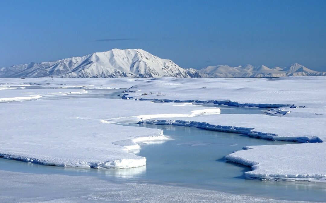 L’Arctique : La nouvelle cible de Vladimir Poutine